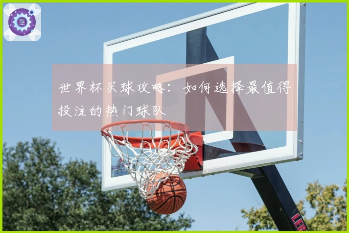 世界杯买球攻略：如何选择最值得投注的热门球队