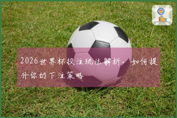 2026世界杯投注玩法解析，如何提升你的下注策略