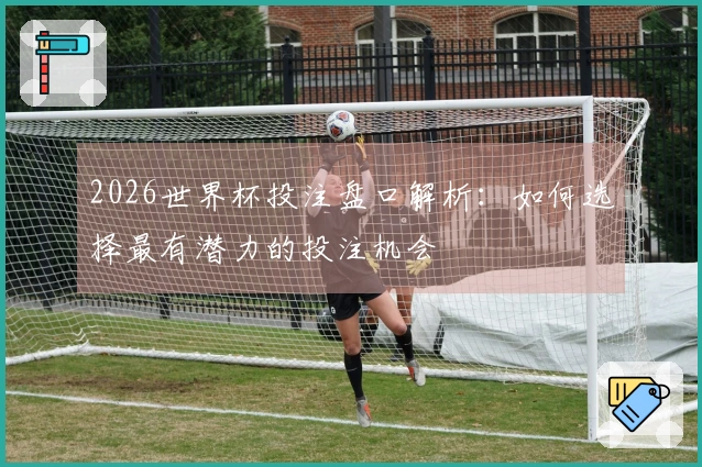 2026世界杯投注盘口解析：如何选择最有潜力的投注机会