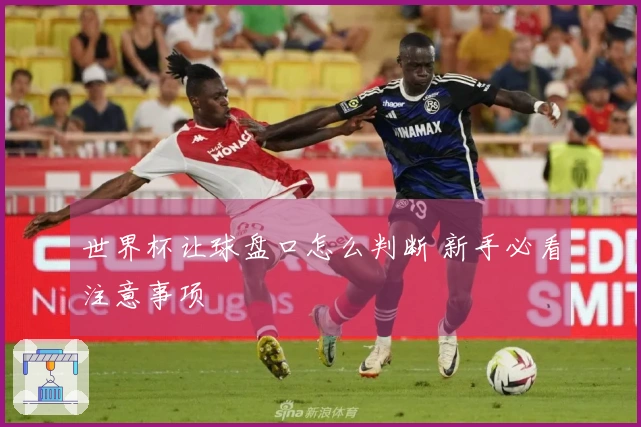 世界杯让球盘口怎么判断 新手必看注意事项