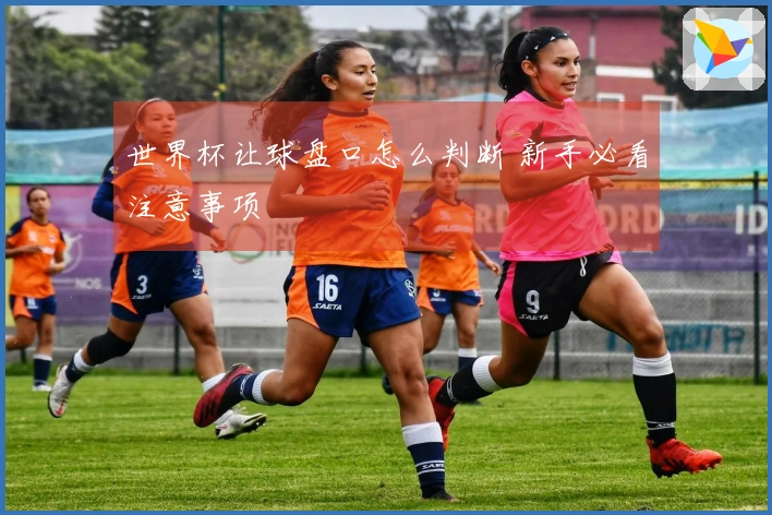 世界杯让球盘口怎么判断 新手必看注意事项