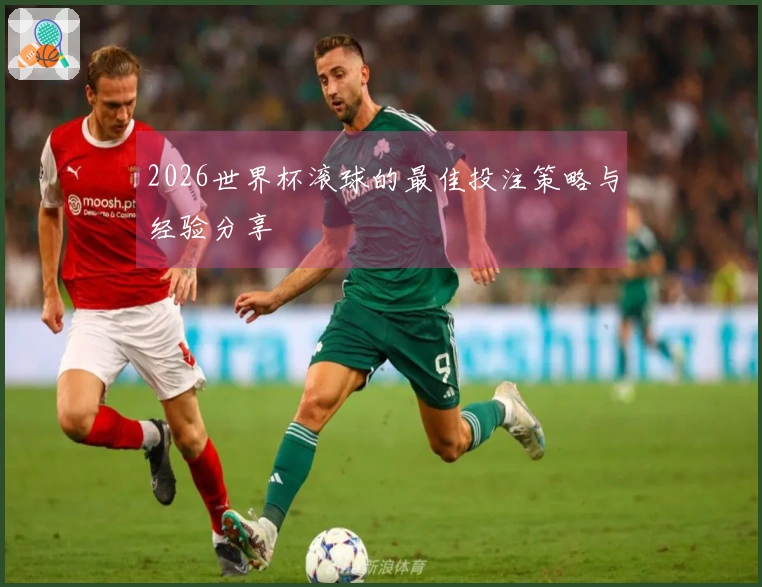 2026世界杯滚球的最佳投注策略与经验分享