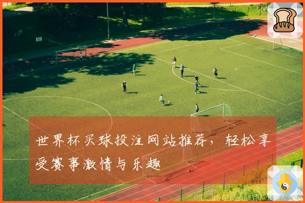世界杯买球投注网站推荐，轻松享受赛事激情与乐趣