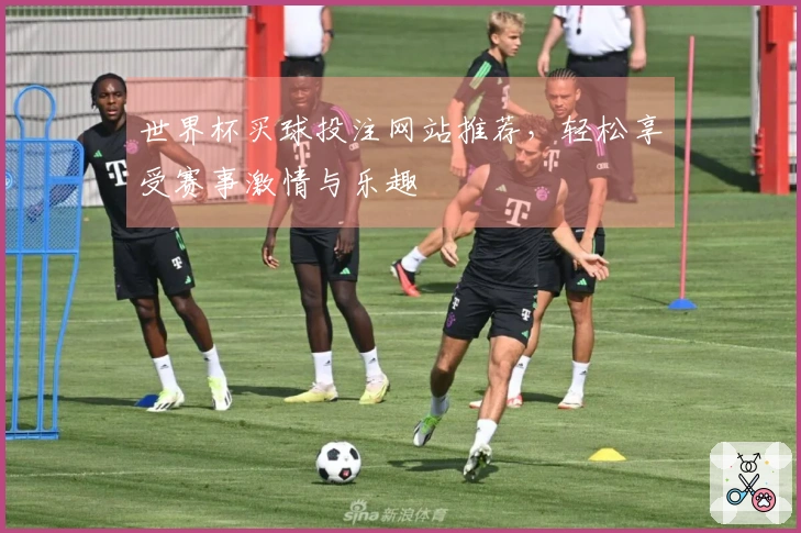 世界杯买球投注网站推荐，轻松享受赛事激情与乐趣