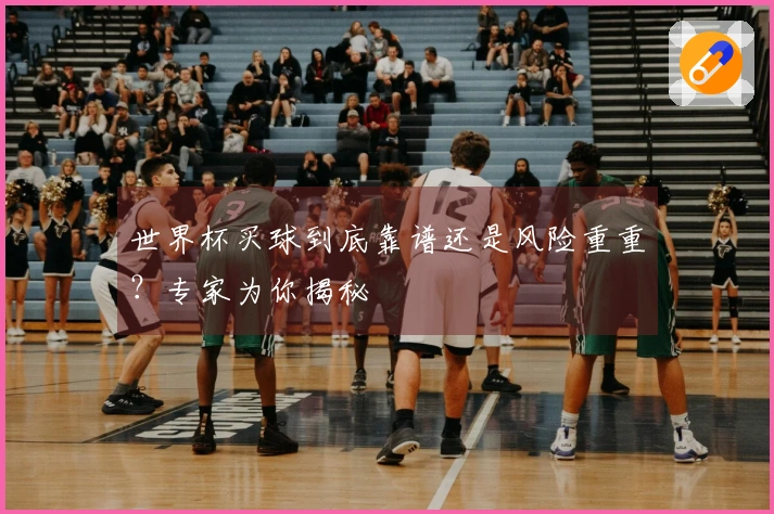 世界杯买球到底靠谱还是风险重重？专家为你揭秘